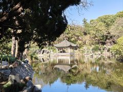 -叶家花园