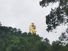 -南山植物园