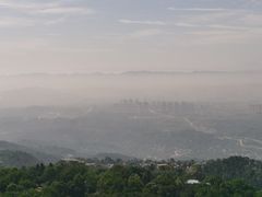 -大金鹰园