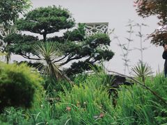-重庆园博园