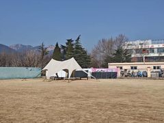 -趣玩宠物乐园寄养训犬训狗游泳池
