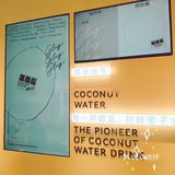 健康解渴椰子水 | 蔻蔻椰🥥