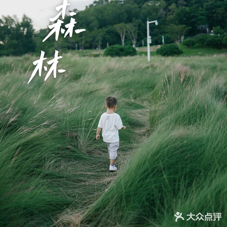 【深圳】初秋出游,千万不要错过红花山的超美粉黛