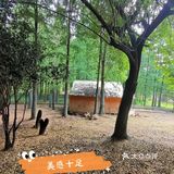 温泉项目：老少皆宜，露天温泉，有红酒浴