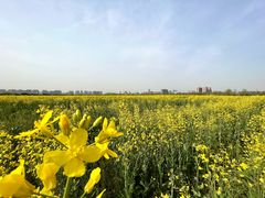 -汉长安城未央宫国家考古遗址公园