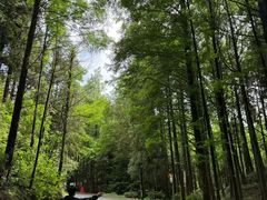 -山王坪喀斯特国家生态公园