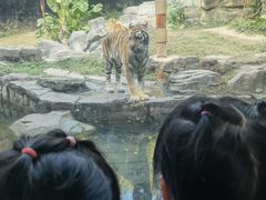 -深圳野生动物园