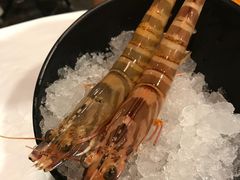 -鲜入围煮花胶鸡海鲜火锅