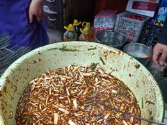 -杨记烤肉老店