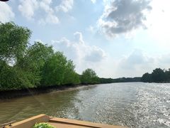 -东寨港红树林旅游区