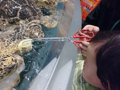 -海合安武汉极地海洋公园