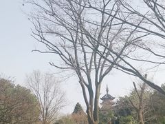 -红梅公园