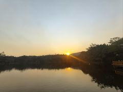 -清迈夜间动物园