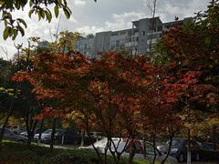 -成都工业学院(郫都校区)