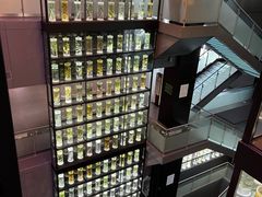 -广东中医药博物馆