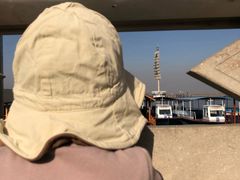 -白洋淀景区