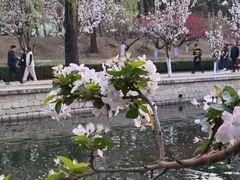 -元大都城垣遗址公园