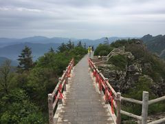 -牛背梁国家森林公园