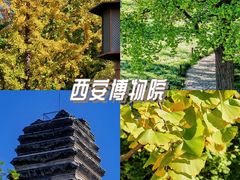 -西安博物院