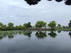 -无锡蠡湖国家湿地公园-蠡园