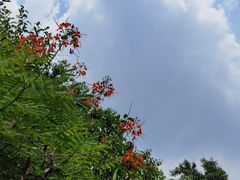 -立新湖公园