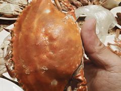 梭子蟹-禾斗海鲜自助(市南银座店)