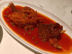 松鼠大桂鱼-绿波廊(豫园店)