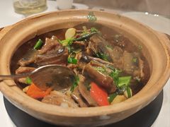 -新兴·金羊座·粤菜点心(乐峰店)