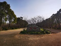 -上海海湾国家森林公园