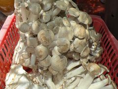 -茶马古道·野生菌清汤黄牛肉(沙溪店)