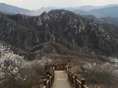 -大岭沟猕猴桃谷风景区