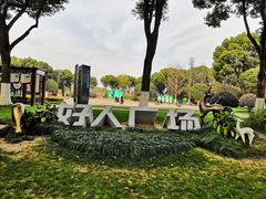 -昆山城市生态森林公园