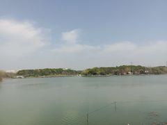 -昆山城市生态森林公园