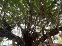 -闽粤南澳总镇府