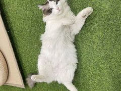 -白兔子密室(长寿路店)