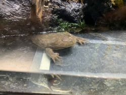 -酷嗒动物文化乐园(cutezoo西溪乐天城店)