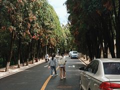 -西南林业大学(白龙校区)