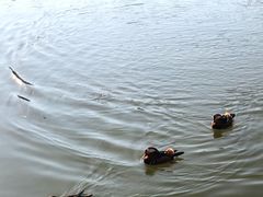 -国家植物园(地铁站)