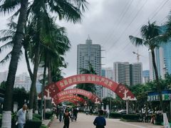 -万绿园