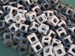 -东疆建设开发纪念公园