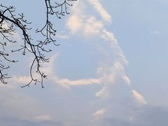 -长洲岛
