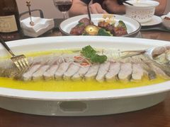 -鲁宴·鲁煨黄河生态大鲤鱼(月坛店)