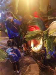 -恐龙探索乐园(磁器口店)