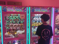 -BIG PINK大粉娃娃机主题馆(圆融星座店)