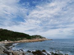 -广东惠东海龟国家级自然保护区