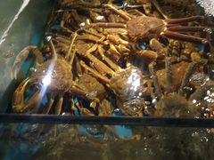 -蟹之国·精品蟹料理(极地店)