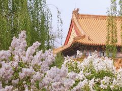 -故宫博物院(故宫)