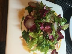 -百好乐宠物友好餐厅(朝外大街店)