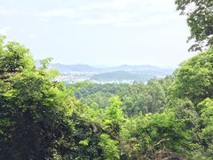 -火炉山森林公园