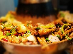 -蛙麻蛙辣炭火蛙锅(南环大街店)